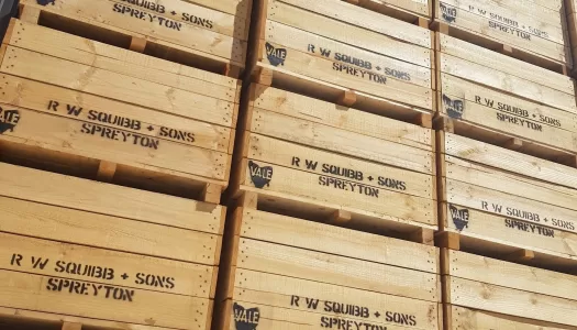 Half tonne produce bins are most popluar with orchards