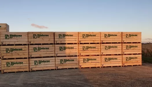 Biofarms branded one tonne bins