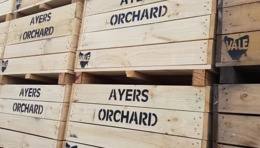 Ayers Orchard branded half tonne bins