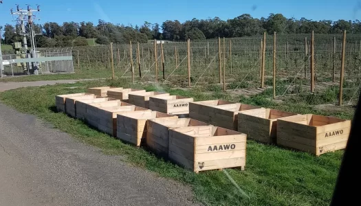 We love seeing our bins being put to use!
