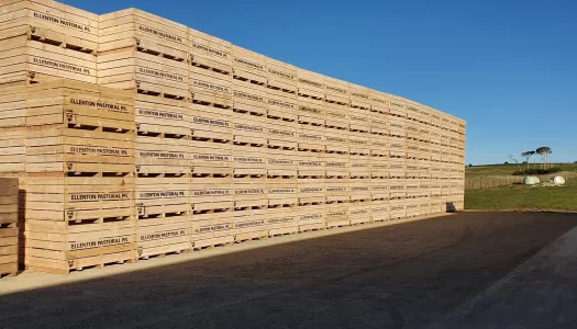 Ellenton Pastoral branded one tonne bins