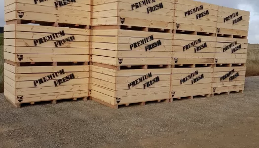 Premium Fresh branded one tonne bins